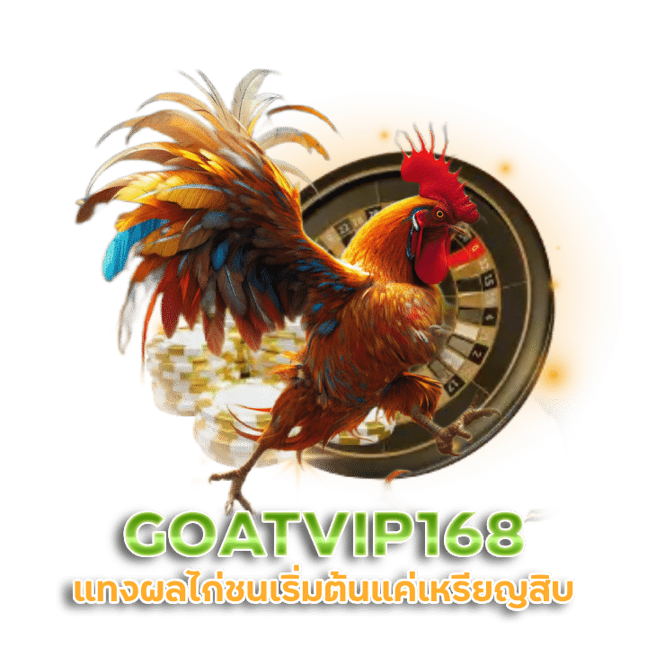 GOATVIP168 แทงไก่ชนไทย